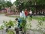 Tree Plantation 24_ July_2021
